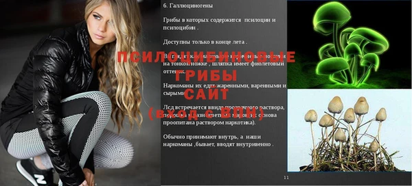 мет Баксан