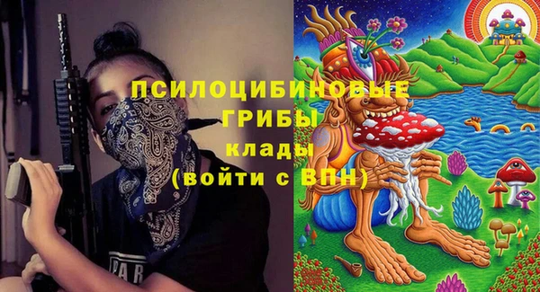 дурь Балахна