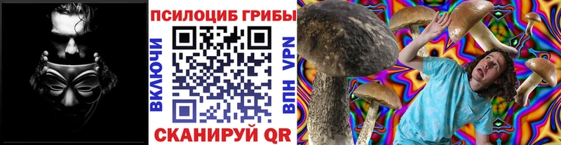 кракен онион  Чекалин  дарк нет наркотические препараты  Псилоцибиновые грибы ЛСД 
